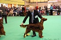 Crufts2011_2 137